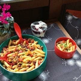 Modespitze-Plauen-Tischsets-Platzsets-gestickt-Nudelsalat-Pasta- Chili- Balkon- Kissen