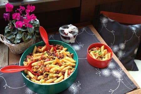 Modespitze-Plauen-Tischsets-Platzsets-gestickt-Nudelsalat-Pasta- Chili- Balkon- Kissen