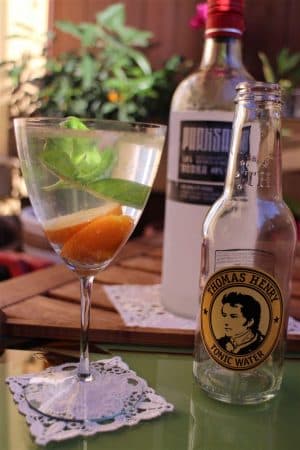 Cocktail Wodka-Tonic mit Kumquat 