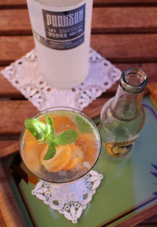 Sommercocktail - Wodka-Tonic mit Kumquats